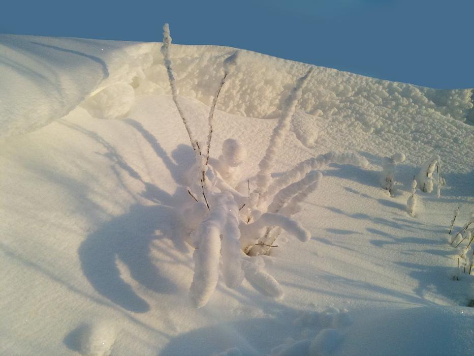 Snow Himmel Winter