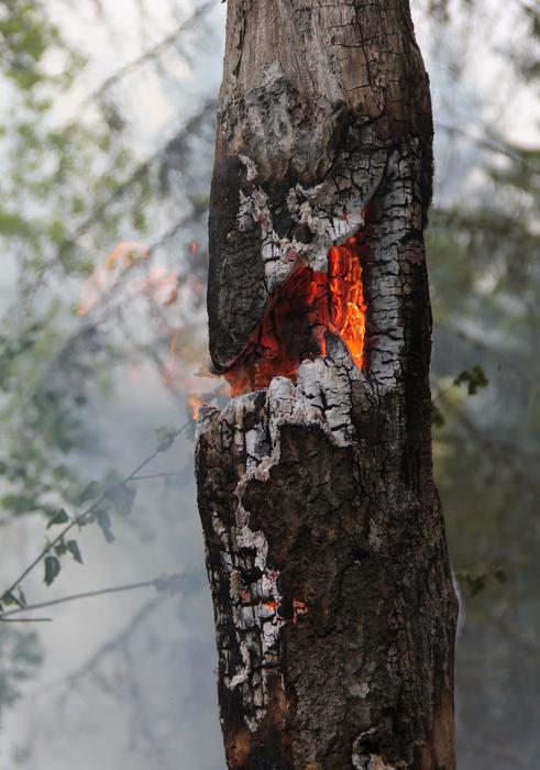 Fire Burning For