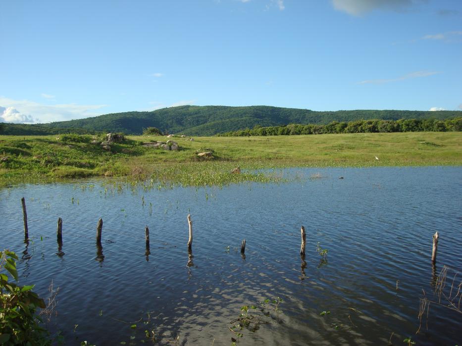 Pond Rural