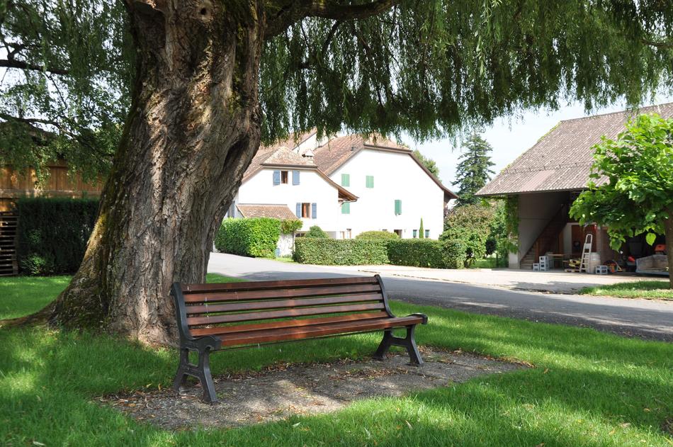 Park Bench geneva