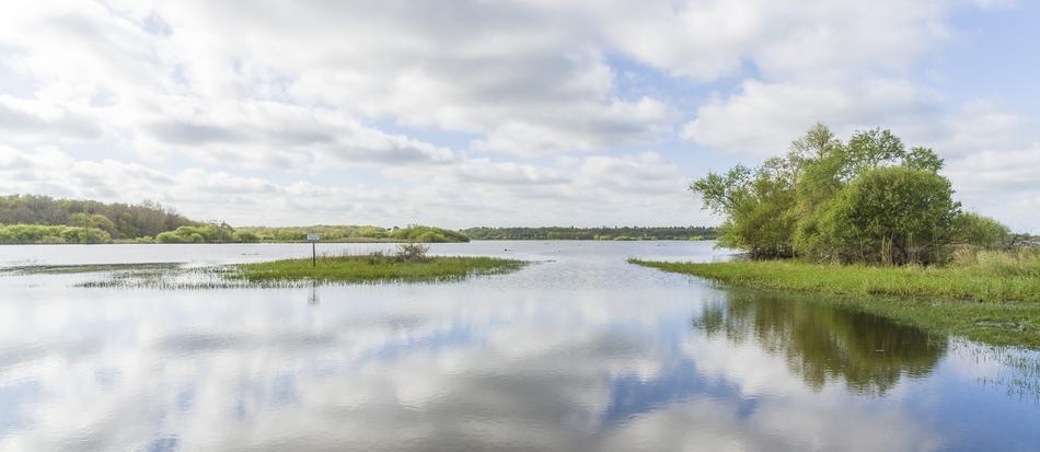 Swamp Loire Atlantique panorama view