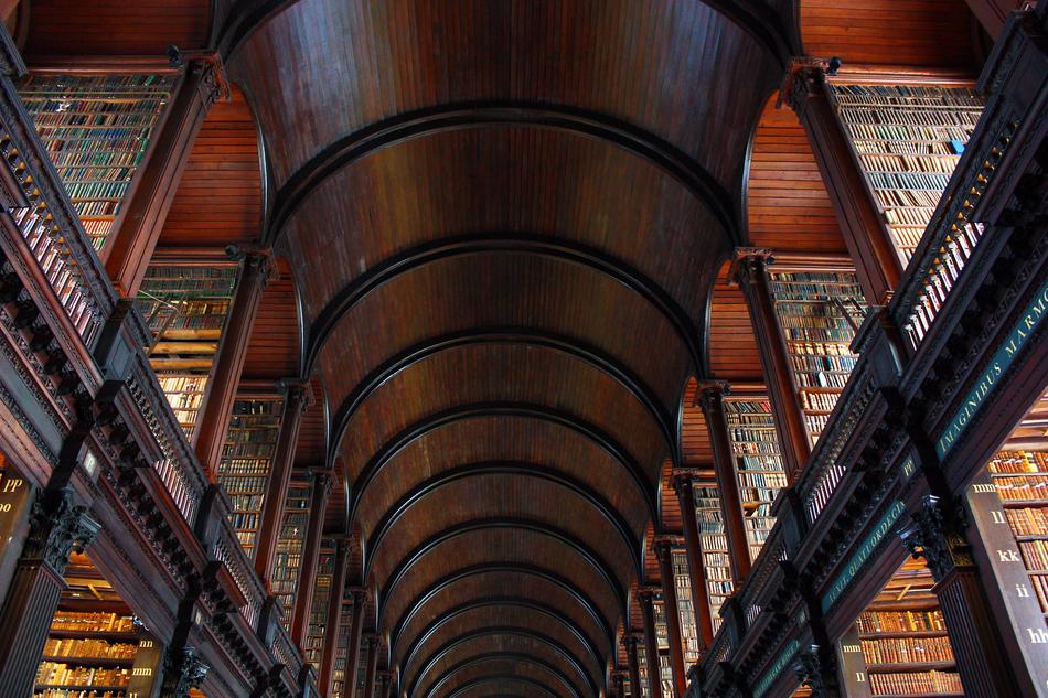 Library Inside Wood