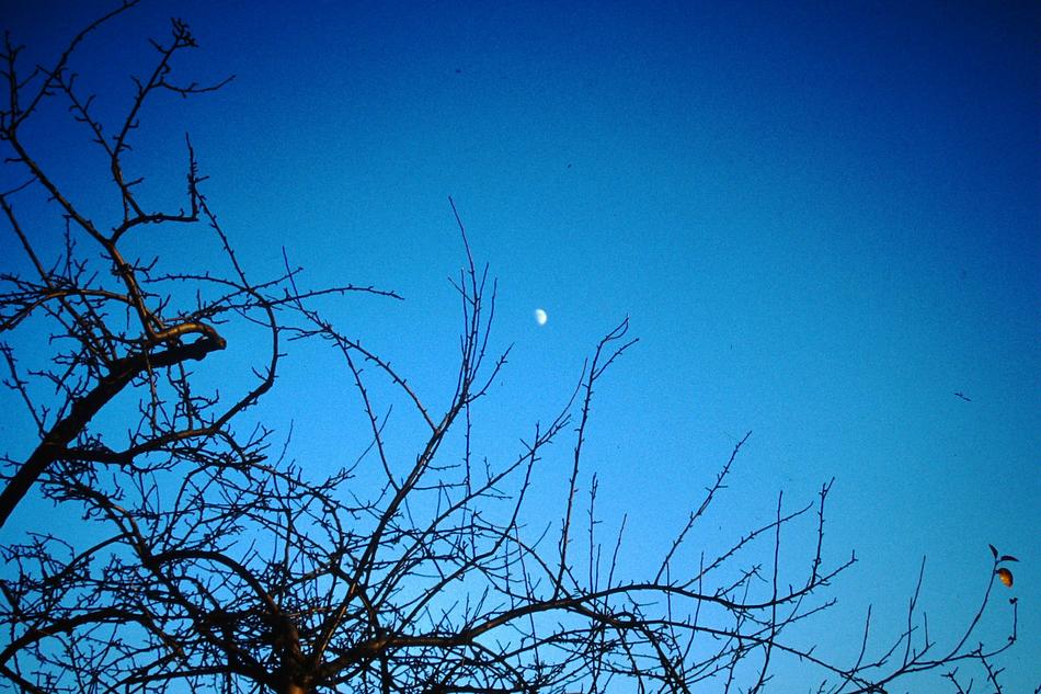 Sky Moon Night