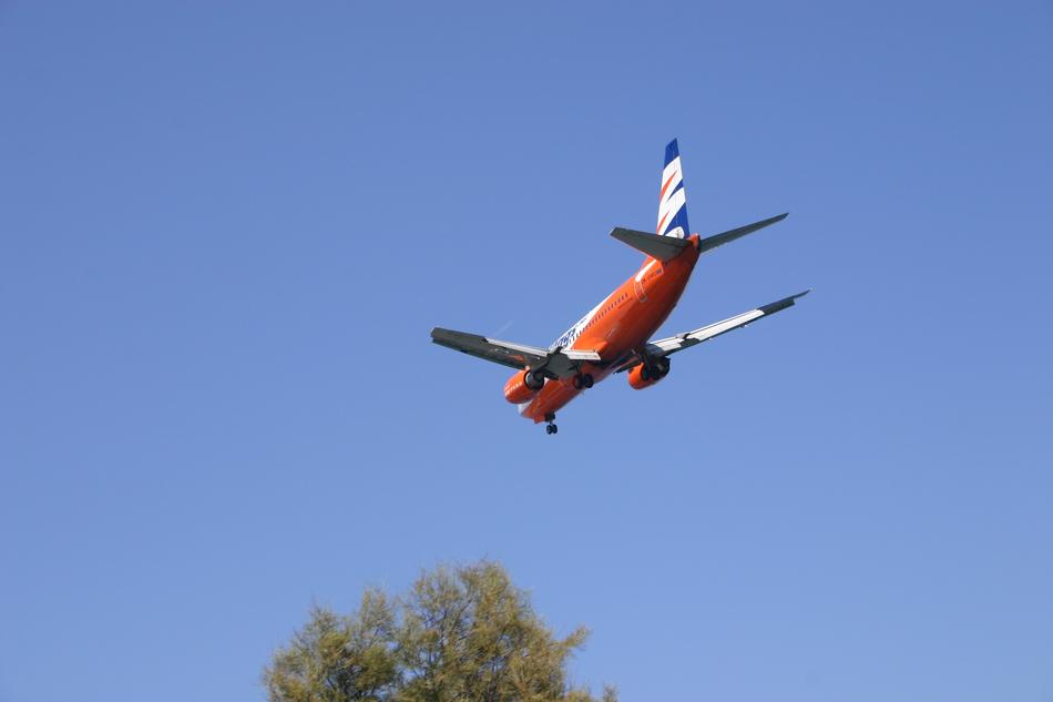 The Plane Sky