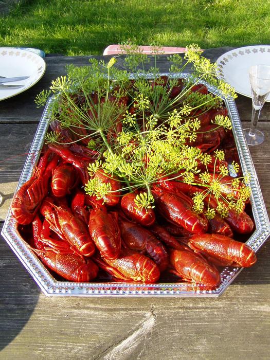 Crayfish Kalas Dill