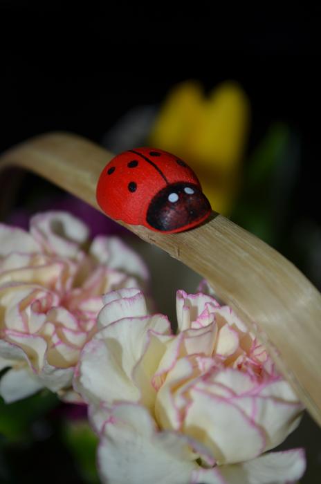 Corsage Basket Ladybug