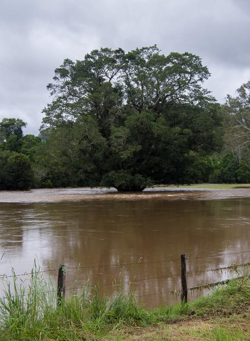 Flood Water River