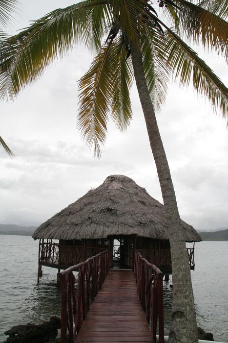 Island Cabin Caribbean Palm