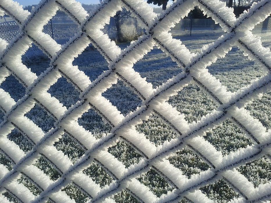 Wire Mesh Fence Frost Ice