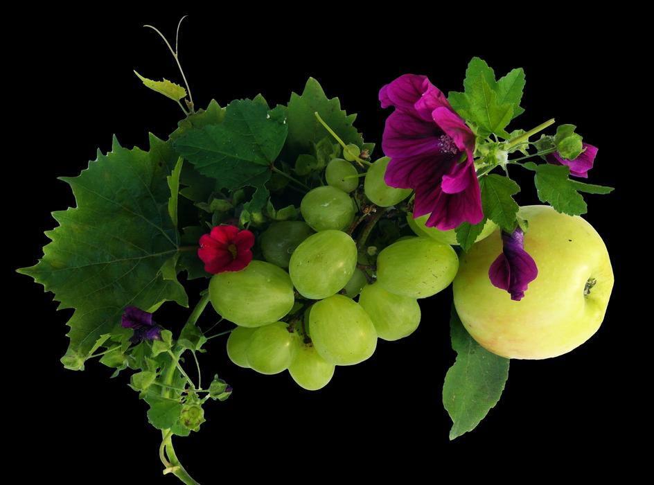 Wine Leaf Apple
