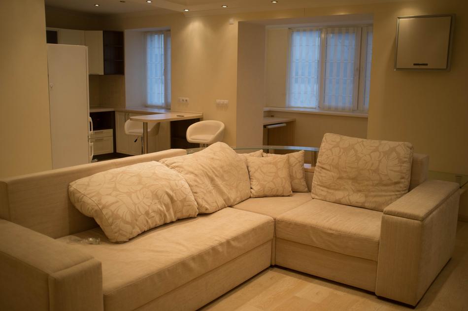 Apartment Sofa