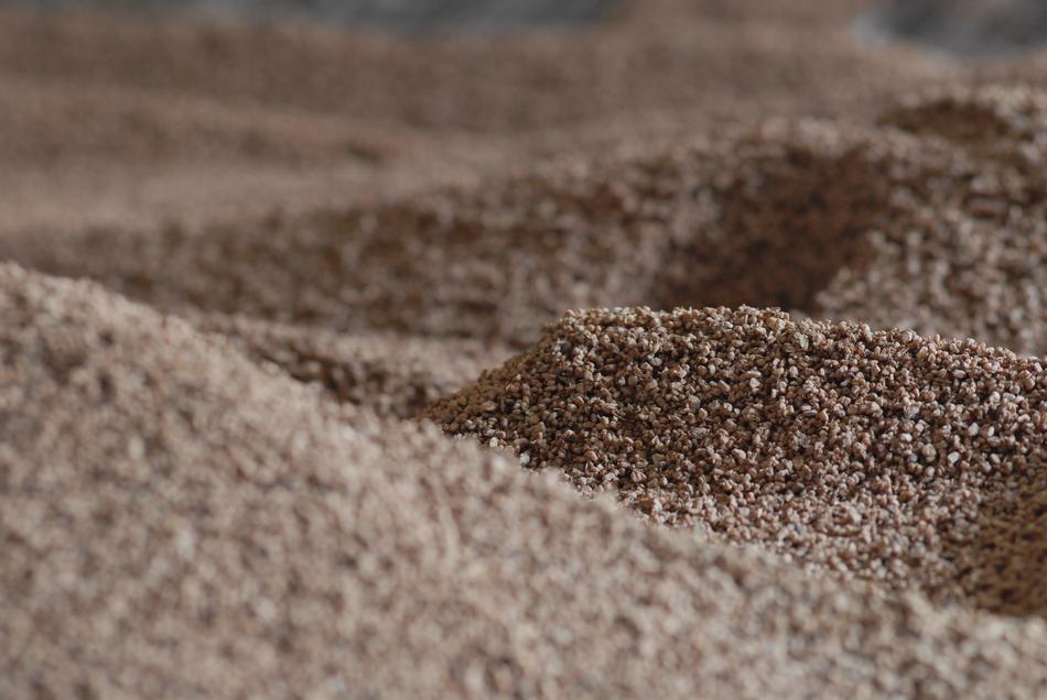 Biomass Renewable Energy Olive