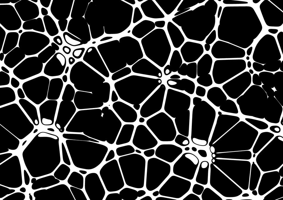Neurons on a black background