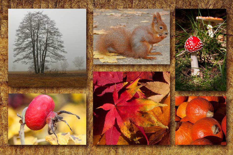 Autumn Collage Mood