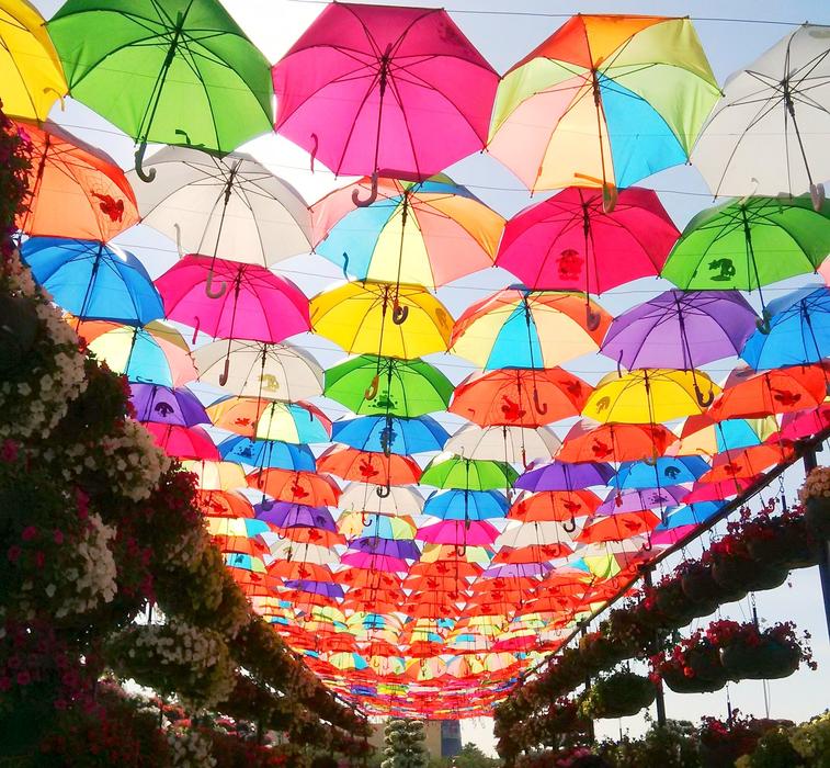 Umbrella Park Colorful