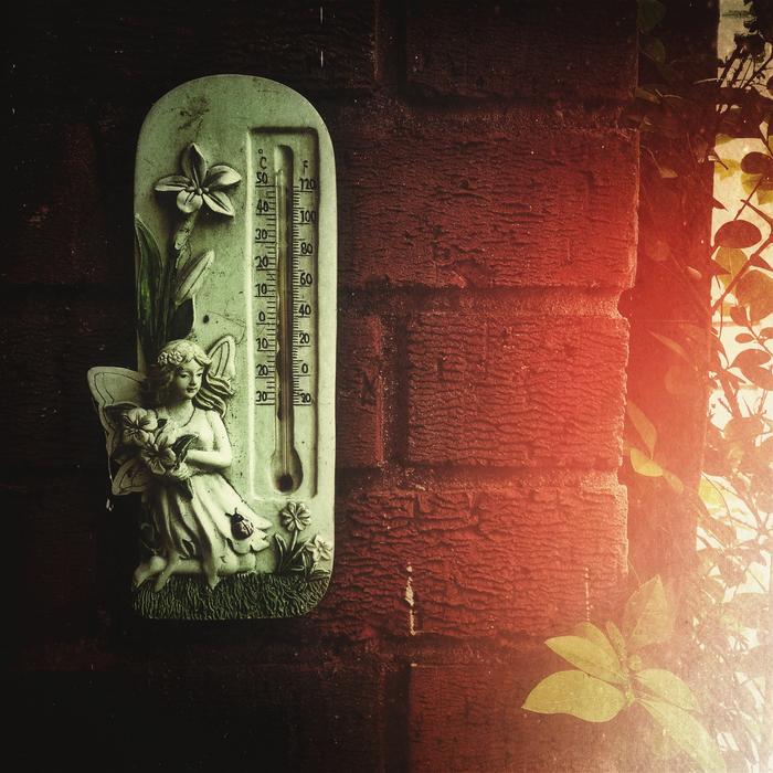 Temperature Wall Sunlight