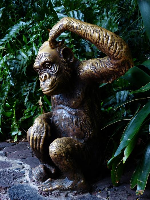 Monkey Figure Funny