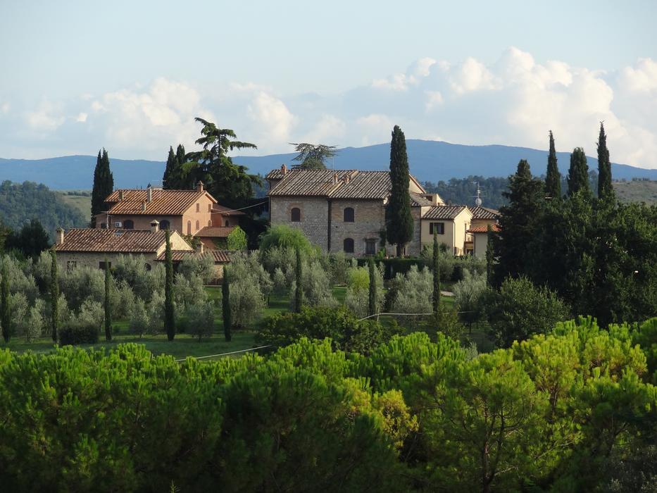 Firenze Evening Volterra