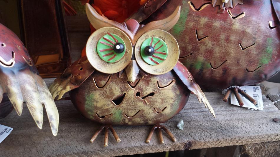 Owl Eagle Deco