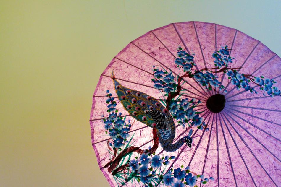Thailand Japan Parasol