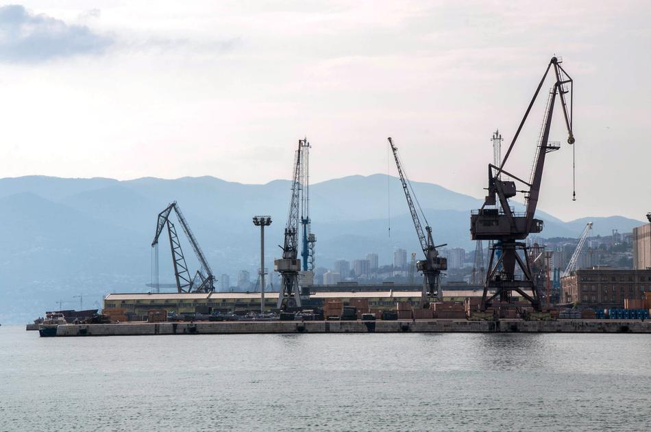 Sea Crane Summer