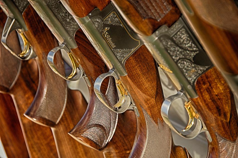 Guns Rifle Weapon