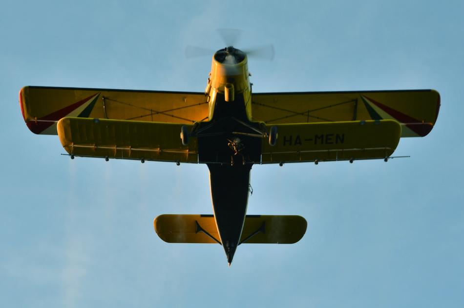Flying Yellow