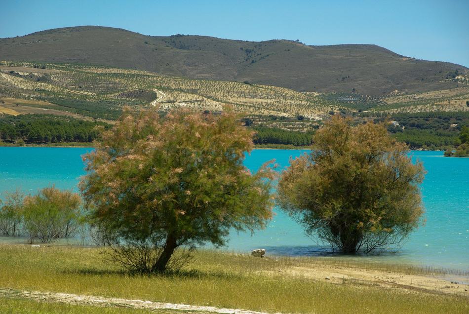 Andalusia Los Bermejales Lake