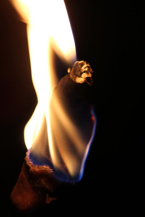Torch Light Night