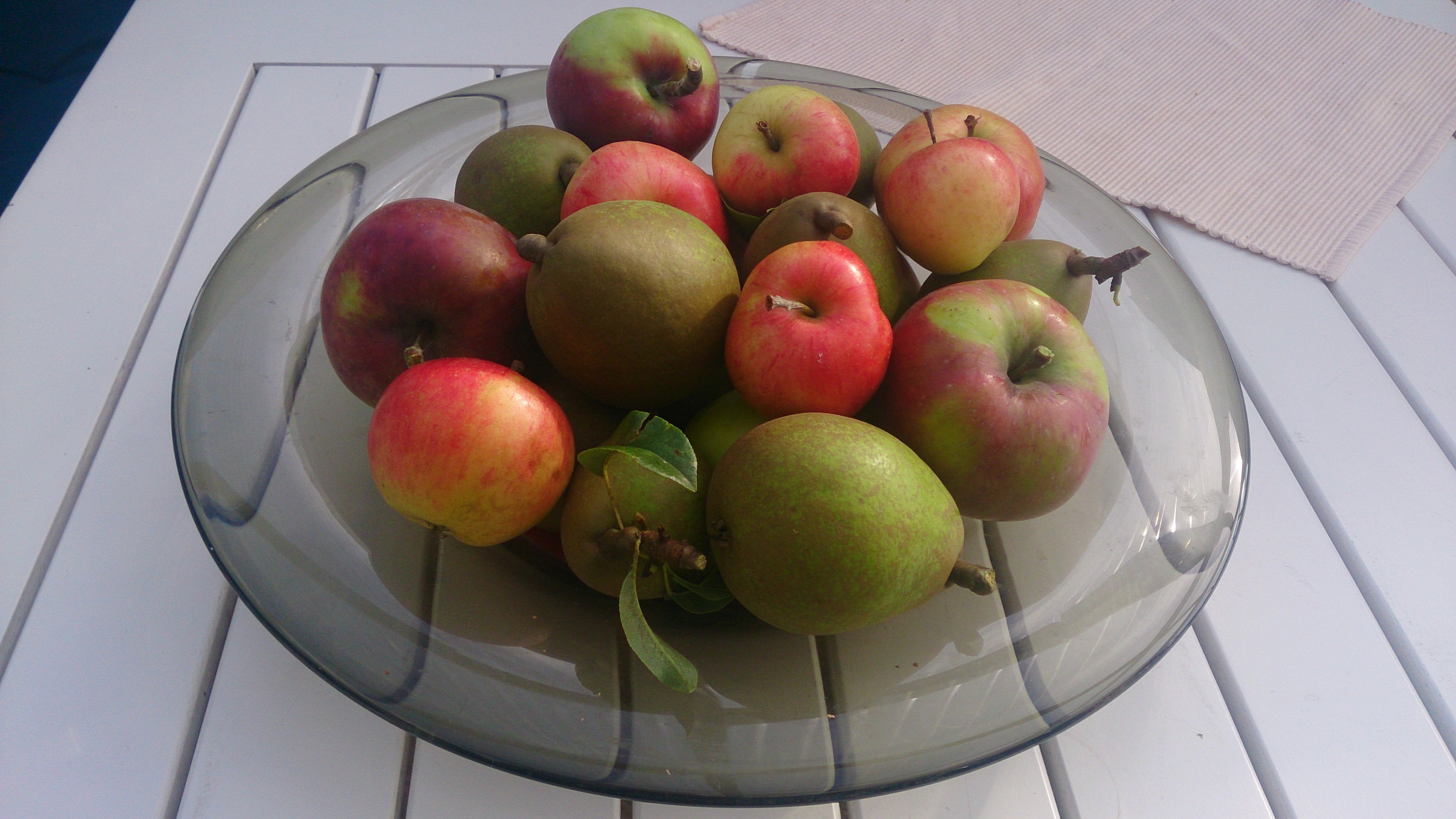 Груши и яблоки домашние