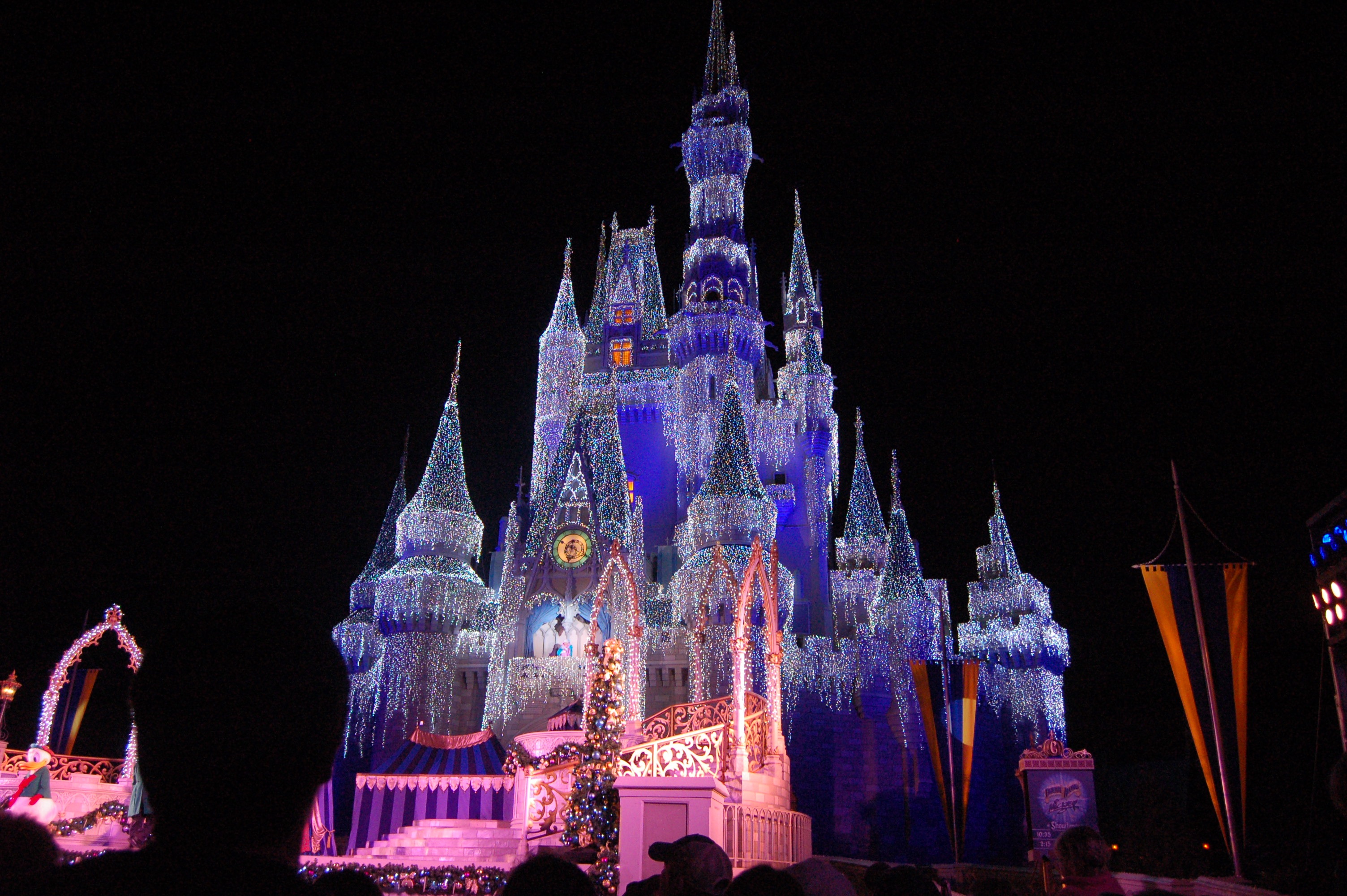 Illuminated Magic Kingdom Disney World free image download