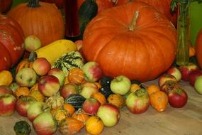 Thanksgiving Pumpkin Apple