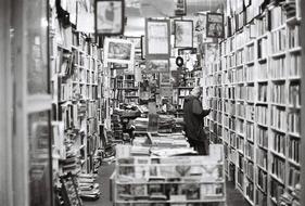 Bookstore Books Old