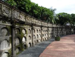 Moss Covered Wall Paco Park