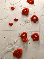 Climbing Holds Wall