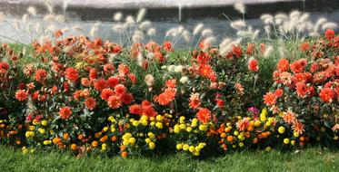 spring Flowers Garden Flowerbed