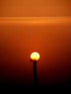 Beautiful and colorful Sun, at the sunset, as a flower, among the haze
