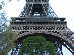 trees beneath Eiffel Tower, france, Paris