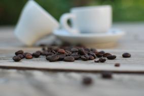 dried coffee beans