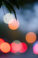 Lights Bokeh Night