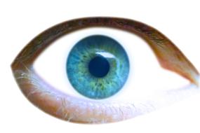 Eye Iris Eyelid
