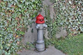 Hydrant Red Metal