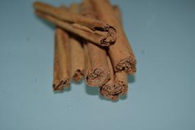 Cinnamon Spices