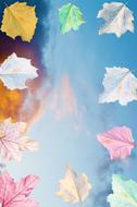 Autumn Frame