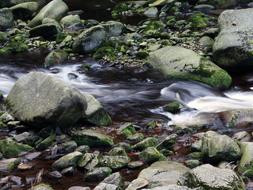 Stones Water