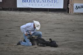 Rodeo Ranch worker