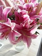 Vase Of Flowers Lilies