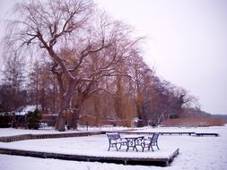 Winter Idyllic Snow