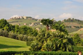 Porto San Giorgio Italy View Of