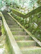 Green Moss Stairs